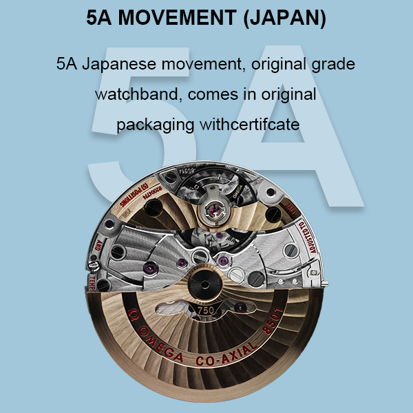 Pasted Image
